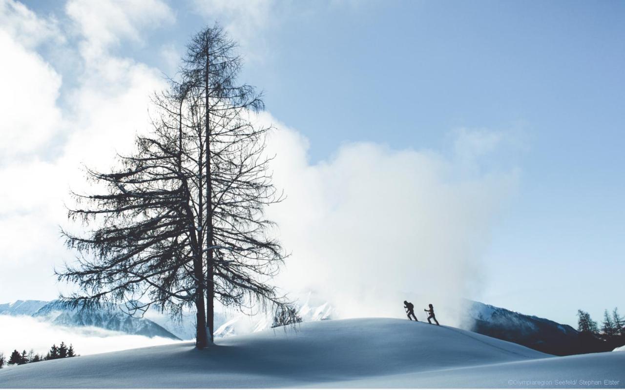 Valdo * Seefeld w Tirolu
